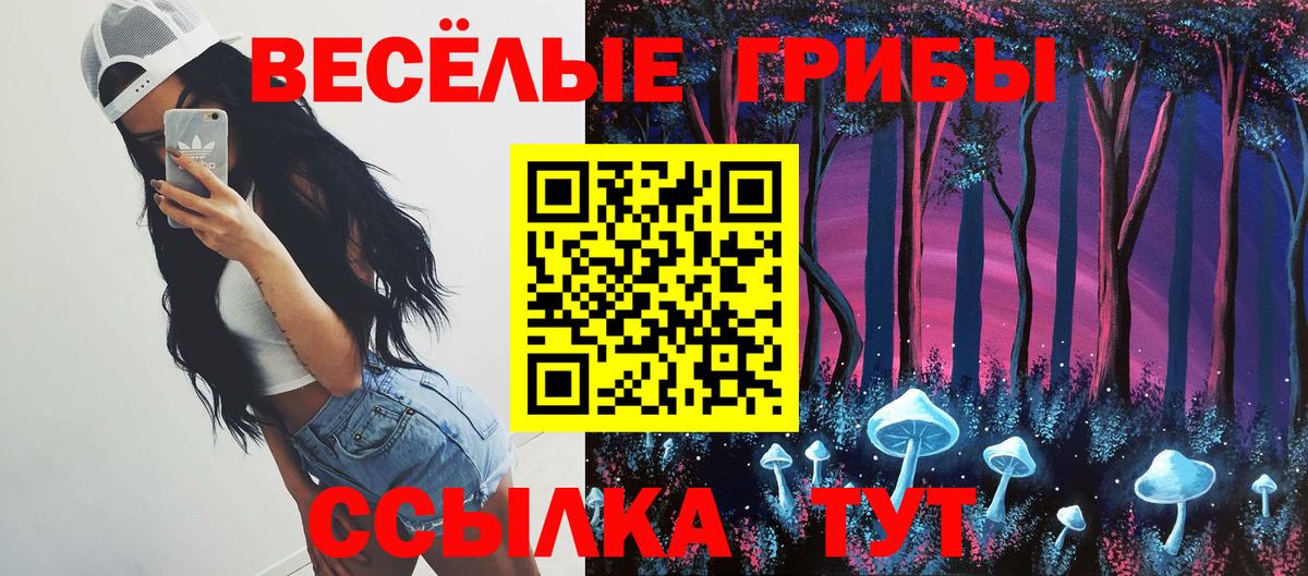 Южноуральск  Псилоцибиновые грибы мухоморы  Вход с VPN 